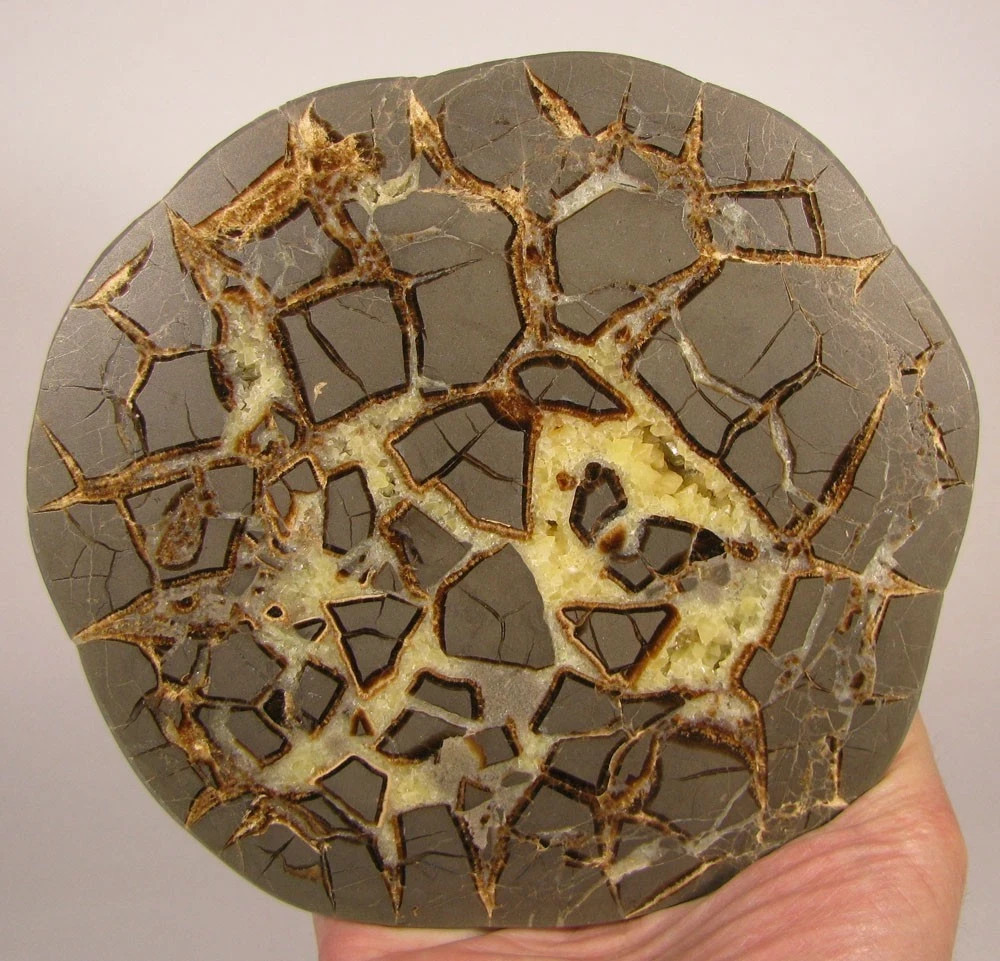 6.2″ Polished SEPTARIAN GEODE End Slab – Utah – 2.5 lbs.