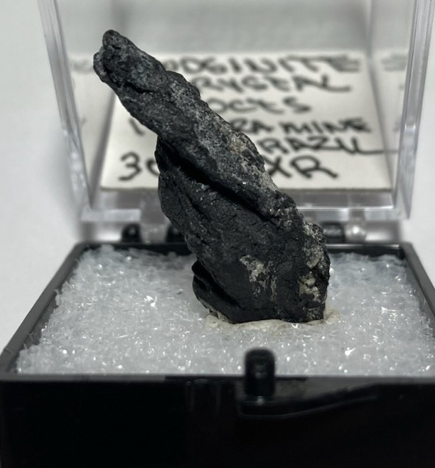 Rare Wodginite crystal Thumbnail from Brazil