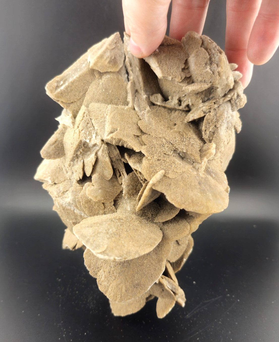 Hourglass Selenite Gypsum Crystal Cluster Oklahoma Old Stock 1286 Grams!