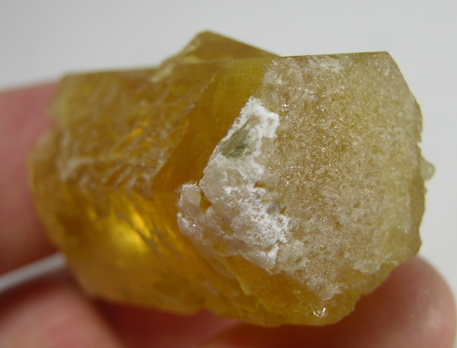 162.25ct Pakistan Terminated Raw Rough Beryl Heliodor Crystal Specimen 32g 36mm