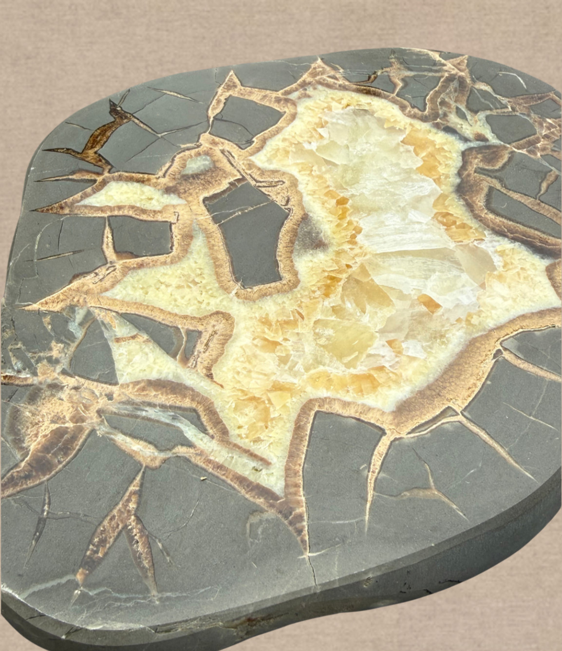 Polished Septarian Nodule Geode Calcite Crystal Display Stone