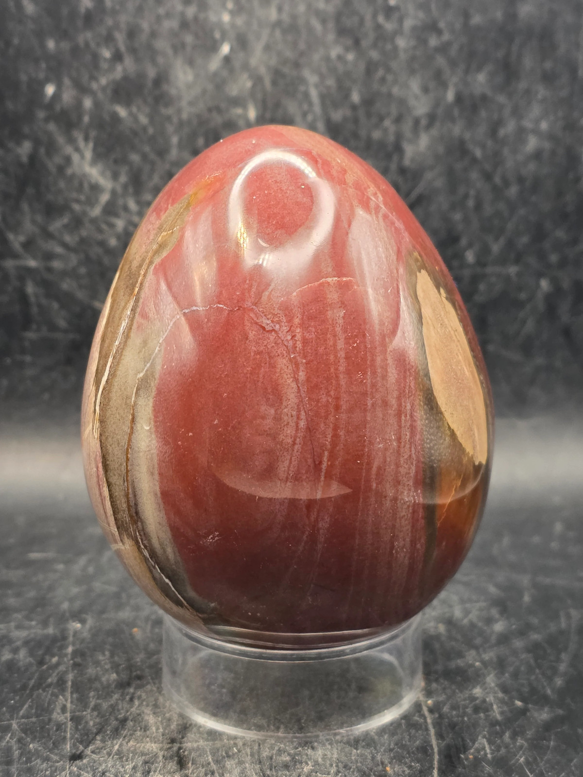 Petrified wood egg! 1.2 pounds, 3.3 inches tall, 2.6 inches wide