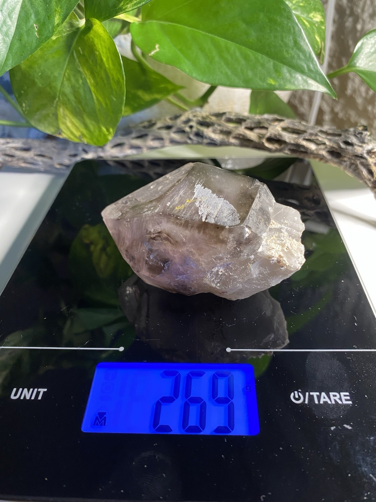 269 Gram Large Smoky Amethyst Scepter – Namibia, Africa