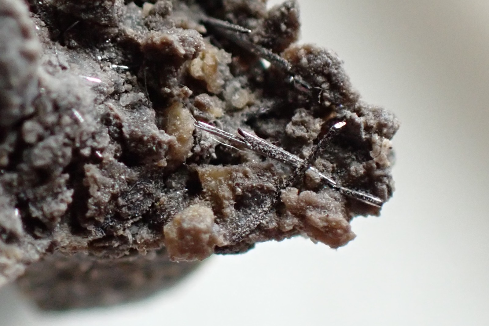SELENIUM * CRYSTALS ON MATRIX * VERY RARE !!! Radvanice, CZECH REPUBLIC