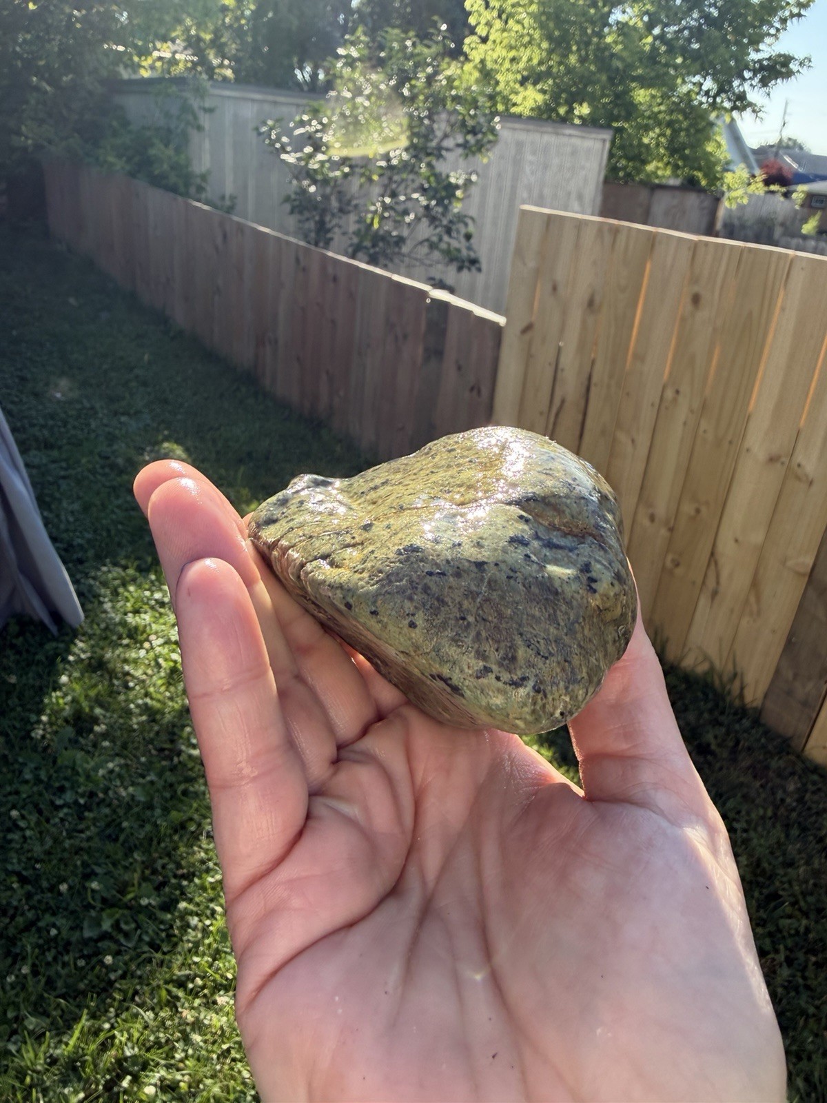 Natural Green Stone with Black Inclusions & Iron Veins |13.7 oz Display Specimen