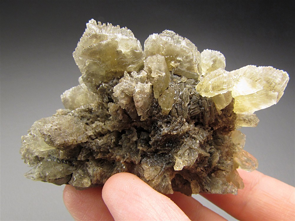 Selenite, Vienna, Austria