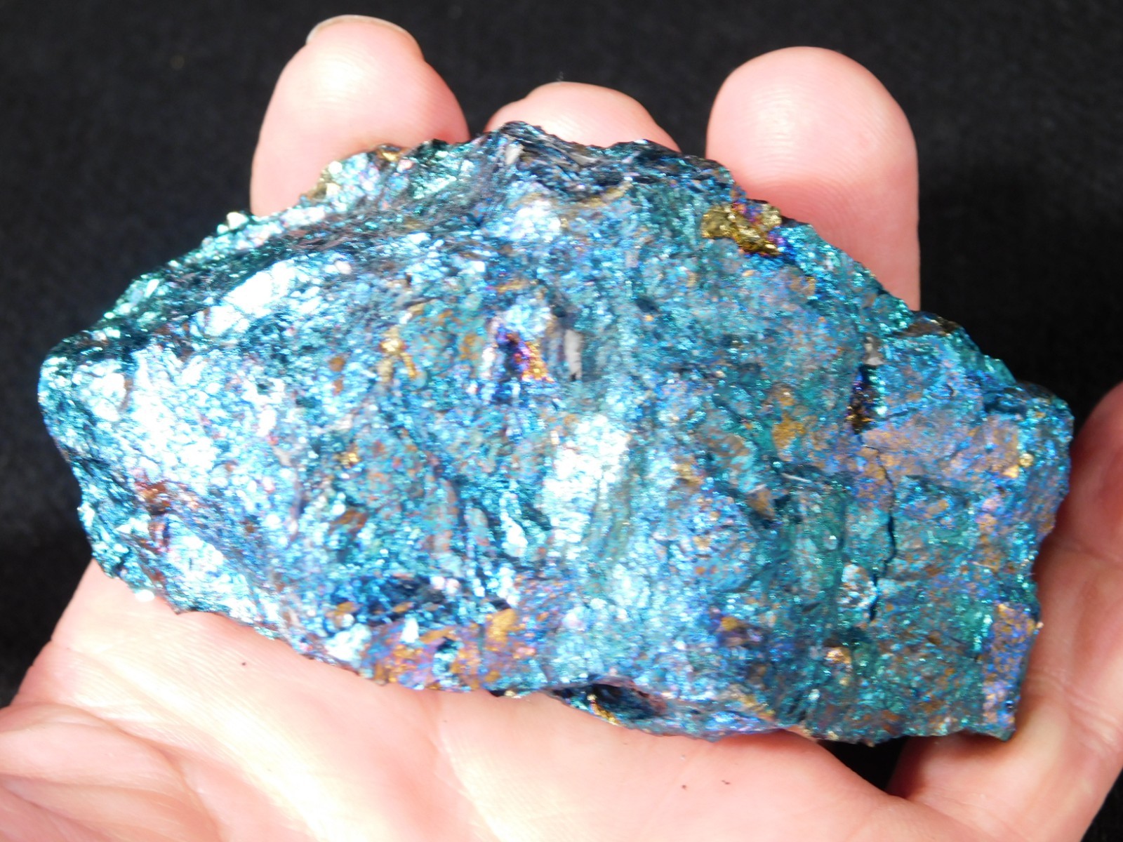 LARGER Bright IRIDESCENT Peacock Copper Chalcopyrite or Peacock Ore Mexico 347gr