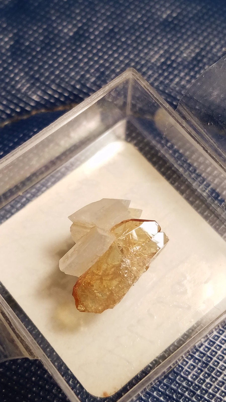 SiG: Lustrous Honey Golden Titanite Crystal on Adularia Cluster from Austria