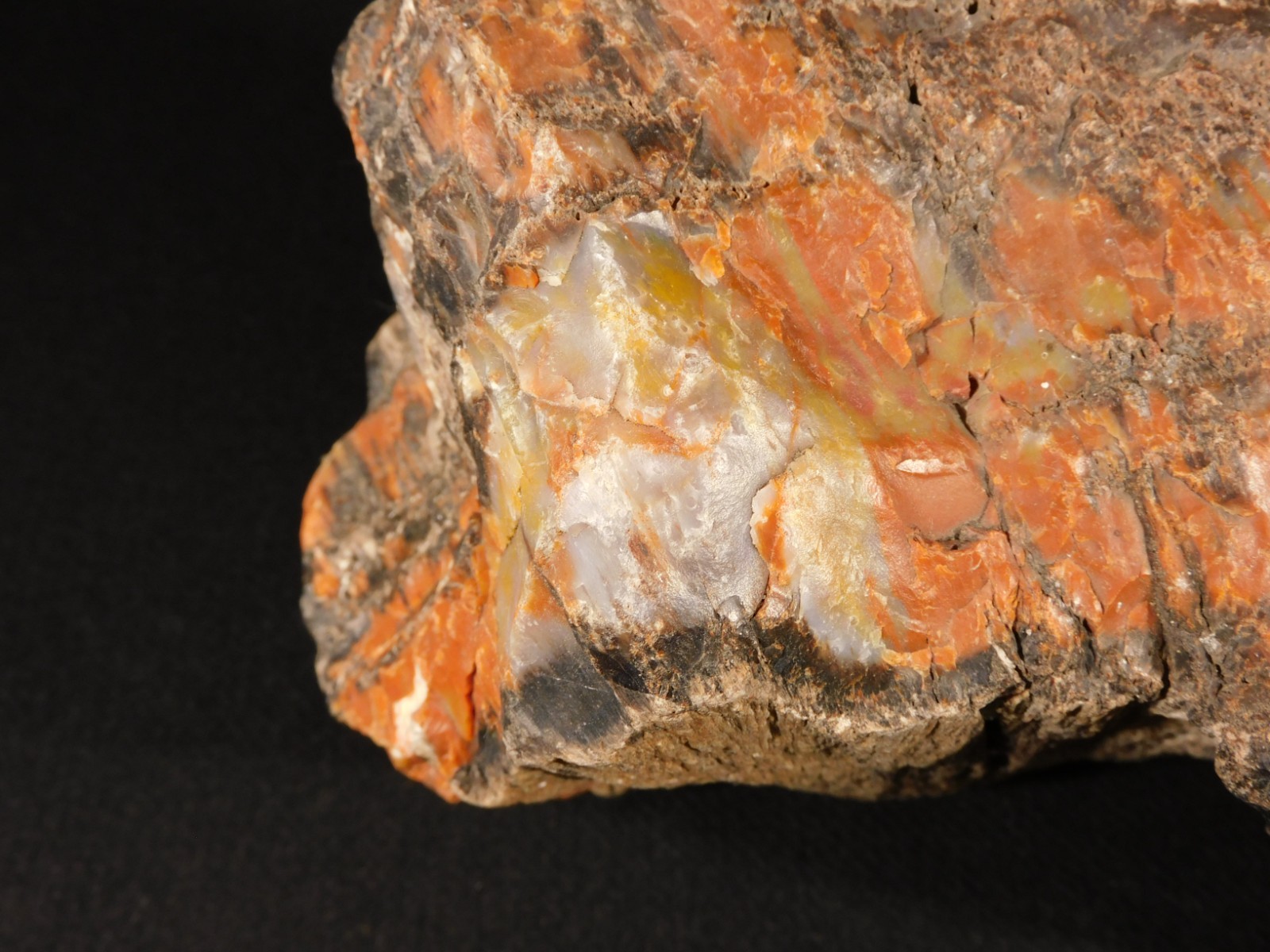 BIG! Highly Agatized Petrified WOOD Fossil From Triassic Arizona 3583gr