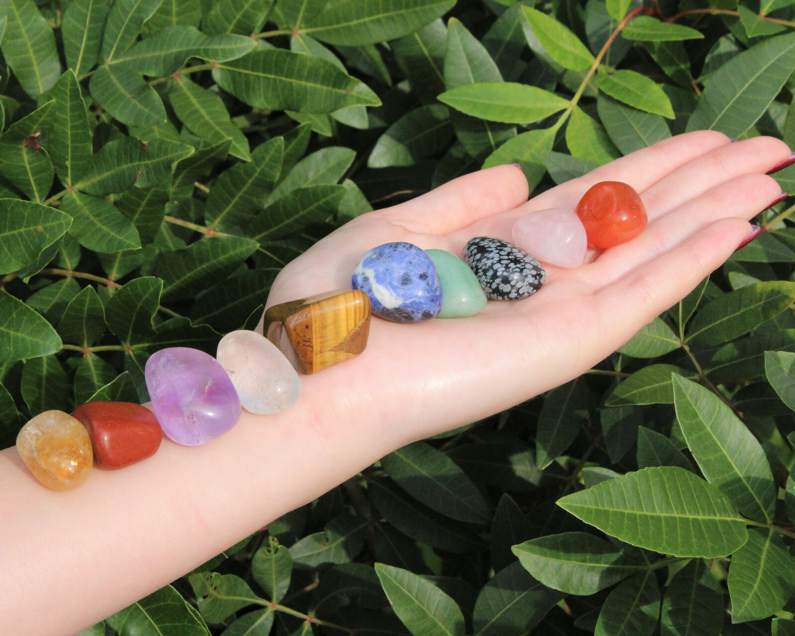 Beginners Crystal Kit, 10 pcs In Velvet Pouch – Most Popular Tumbled Crystals
