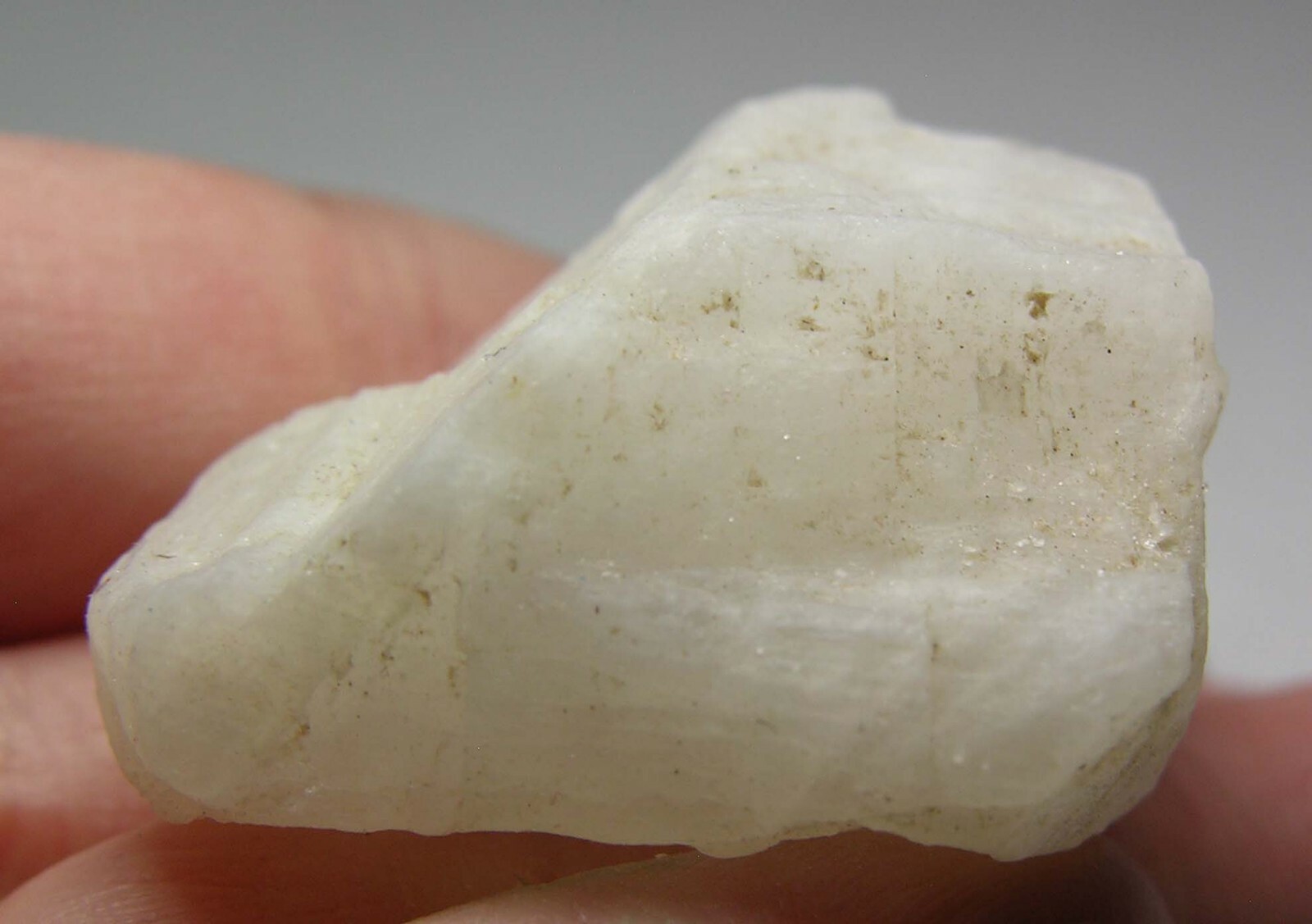 #13 Sri-Lanka 184.00ct 100% Natural Rough White MoonStone Specimen 36.80g 42mm