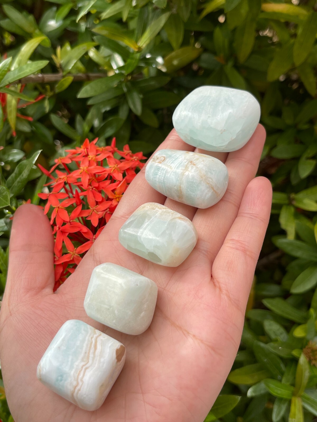 Grade A++ Caribbean Calcite Tumbled Stones, 1-1.5 Inch Tumbled Caribbean Calcite