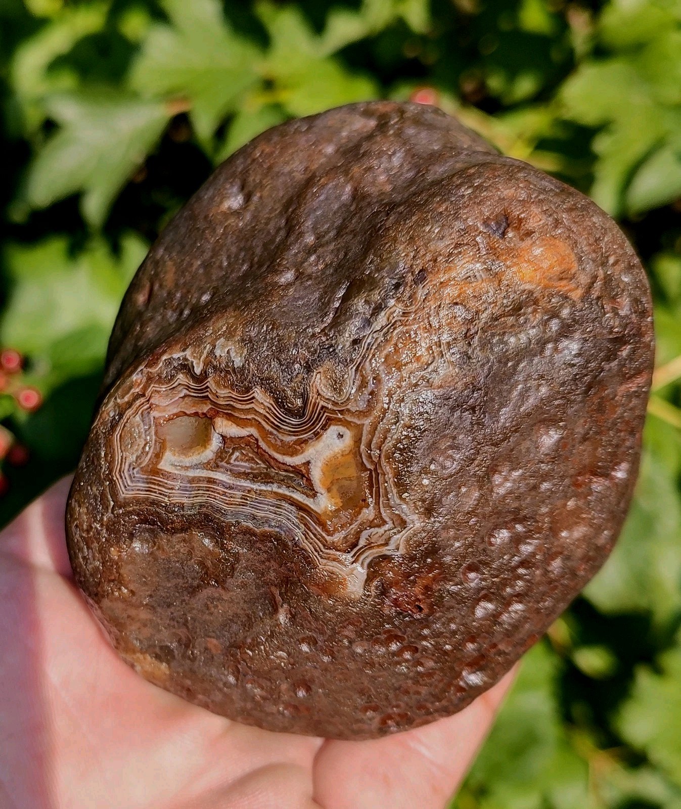 Lake Superior Agate✨, 1lb 8.7oz Outstanding Mixed Color Lake Superior Gem