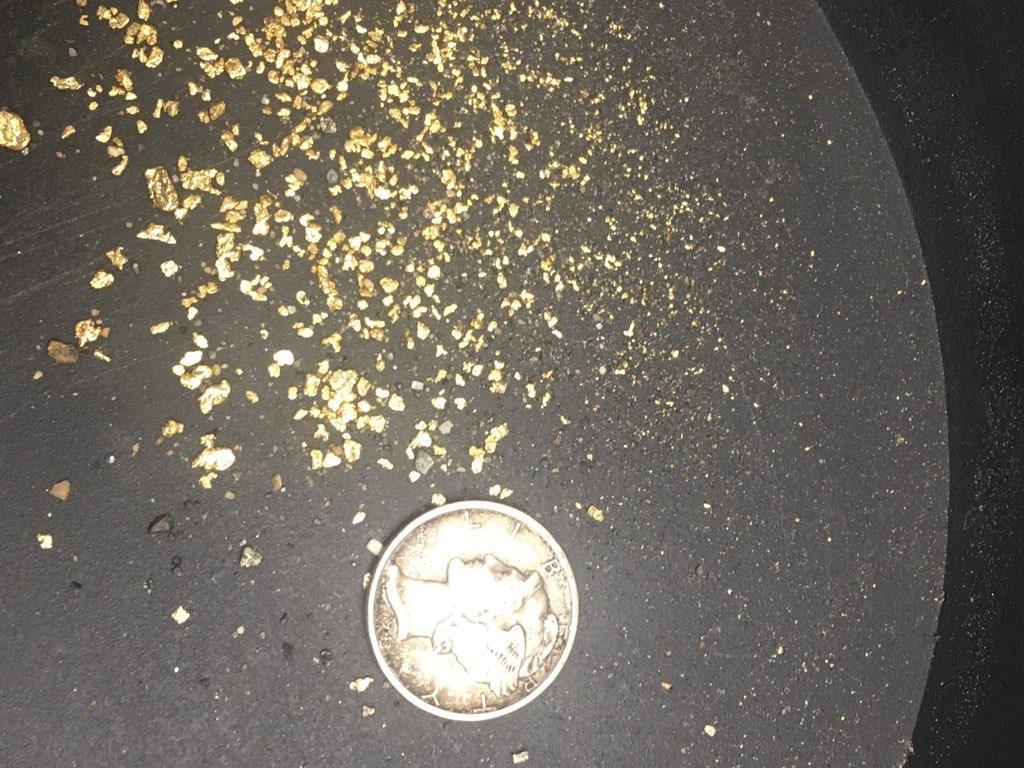 Gold Paydirt 1 LB From Colorado – Unsearched Gold Paydirt Bags – Guaranteed Gold
