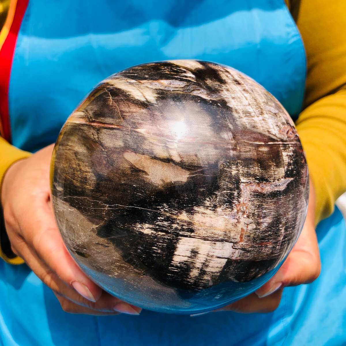 5.06LB Rare Natural Petrified Wood Ball Crystal Quartz Mineral Healing 4705