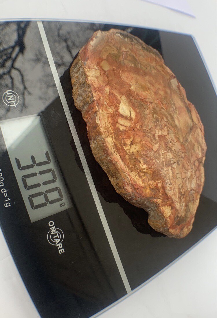 Petrified Wood Slab 308 Gram/both Sides Polished,Bark Ring On/Beautiful Specimen