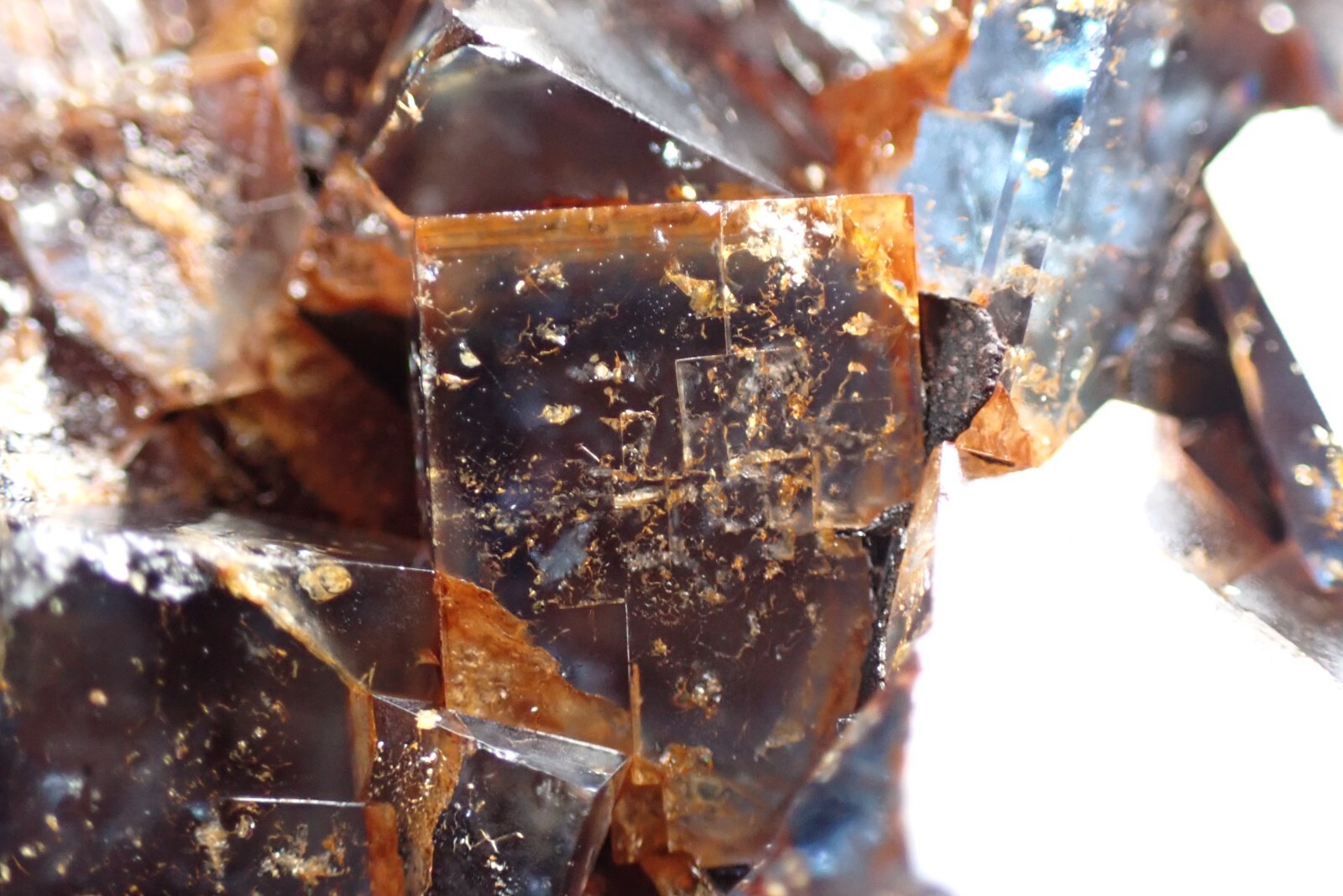 FLUORITE * BLUE CRYSTALS ON QUARTZ * RARE LOCALITY ! Cerny Potok, CZECH REPUBLIC