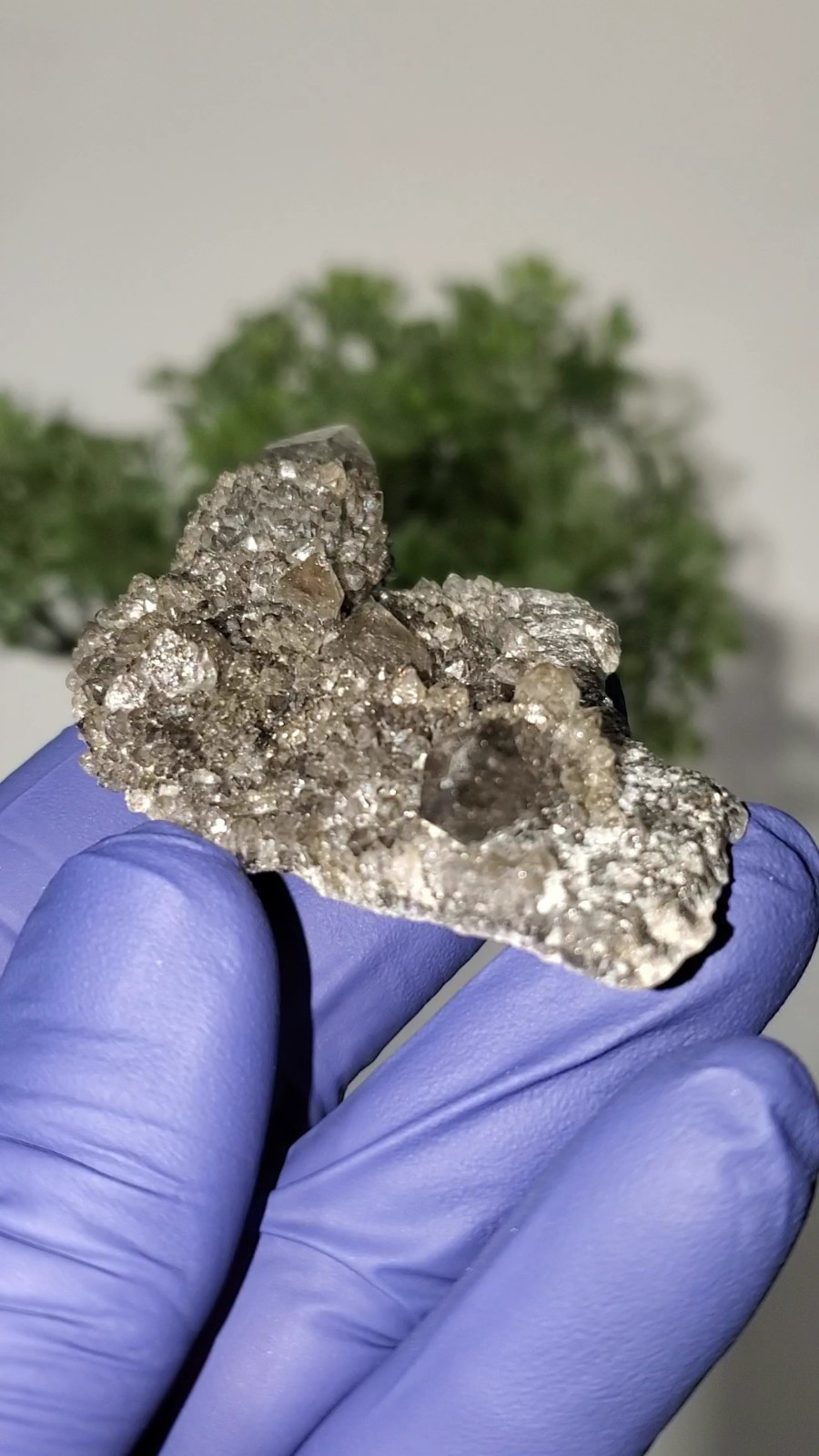 Black Spirit Quartz Cluster Specimen (Fairy Quartz) South Africa 34g