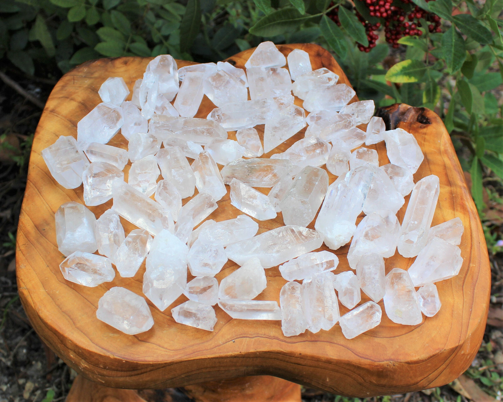 500 Carat Lot Natural Clear Quartz Crystal Points Wand US Seller (100 Gram)