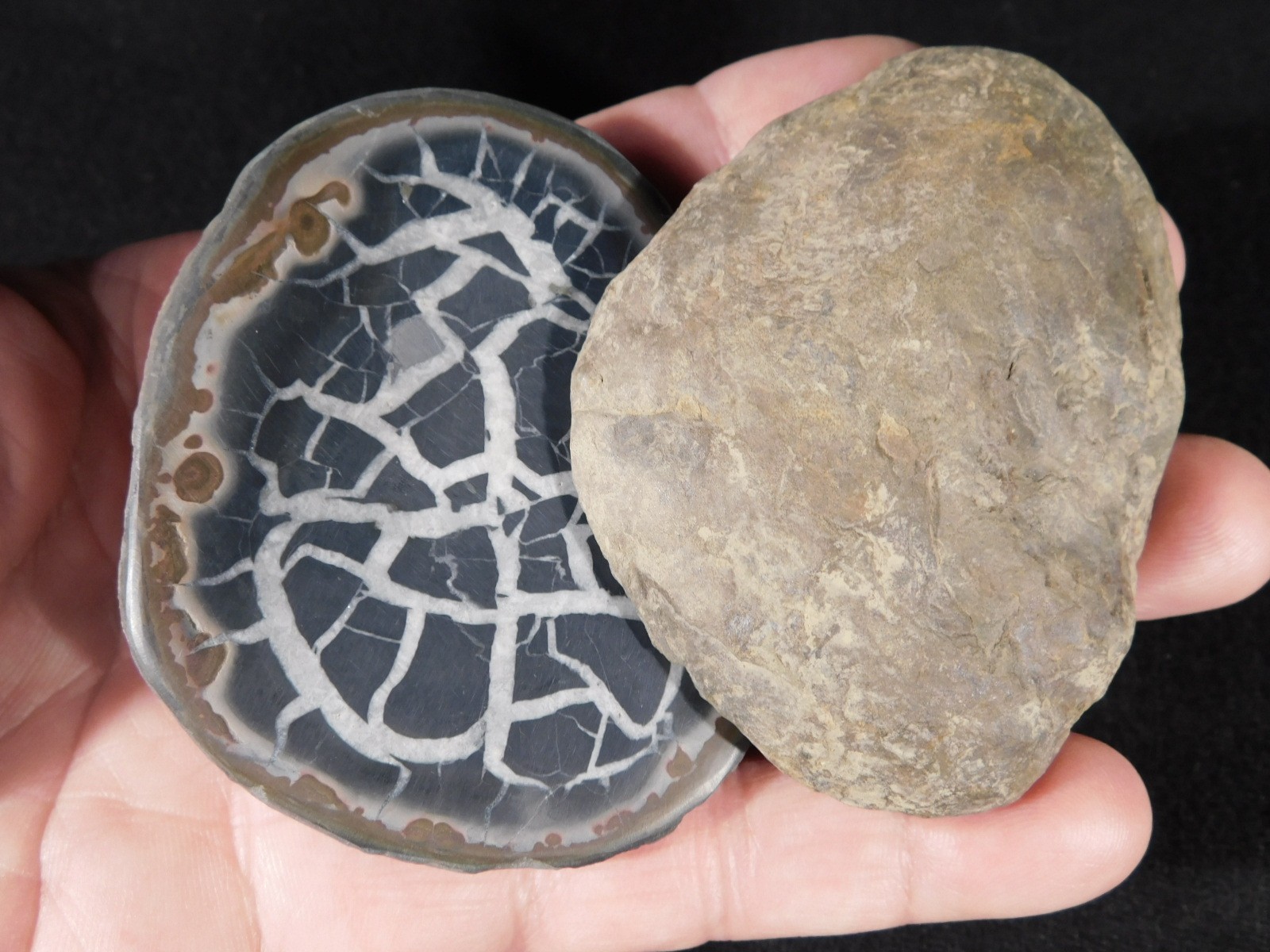 Neat! Lighting Like Pattern! Split and Polished SEPTARIAN Nodule Morocco 248gr