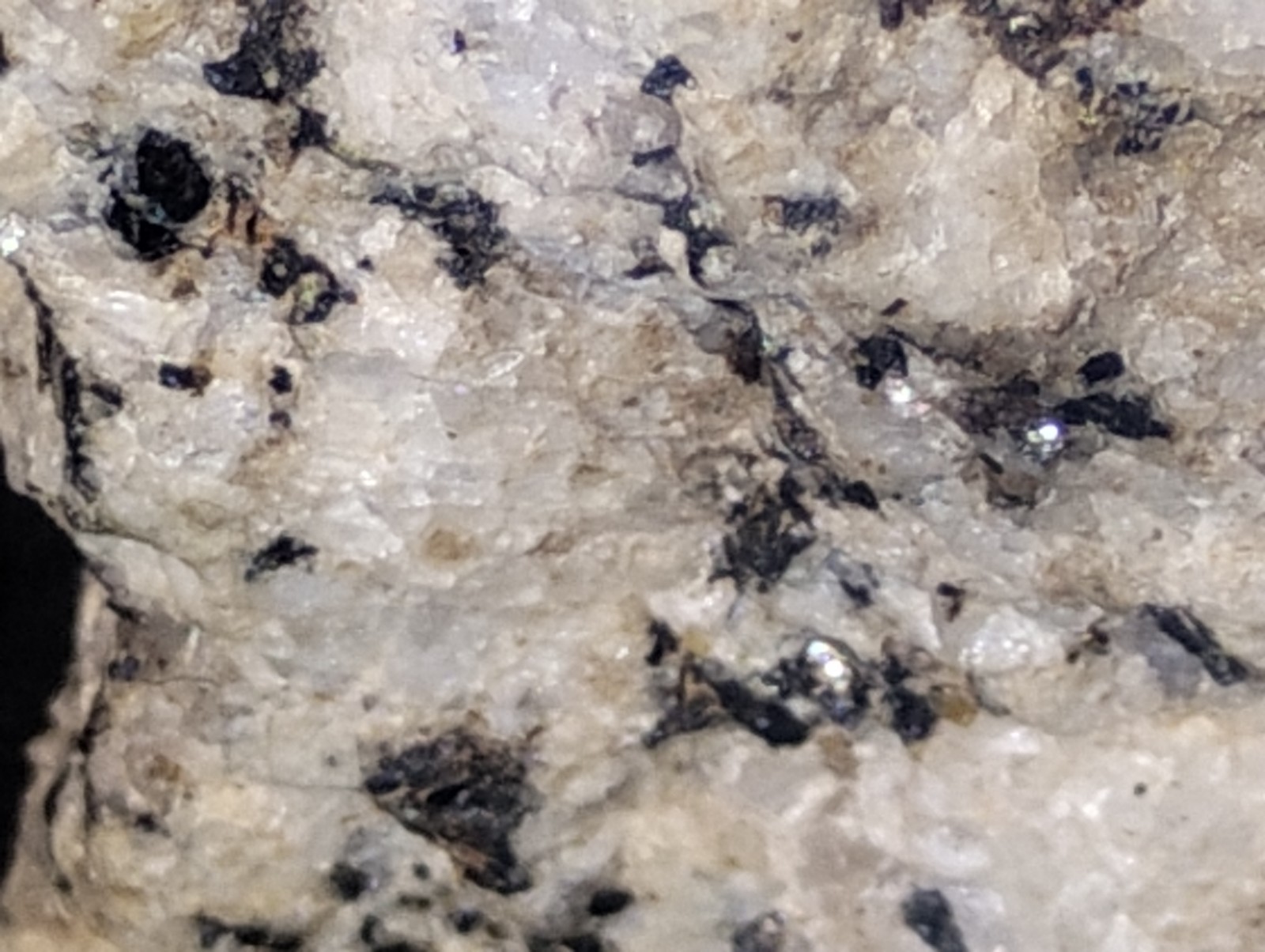 Polymetallic Ore Matrix Quartz, Pyrite & Silver/Black Sulfides – Blue Mountain?