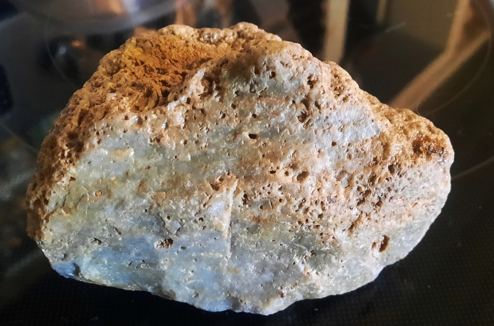 633 Grams Kentucky Blue Agatized Crinoid Stems Bed. Cumberland County