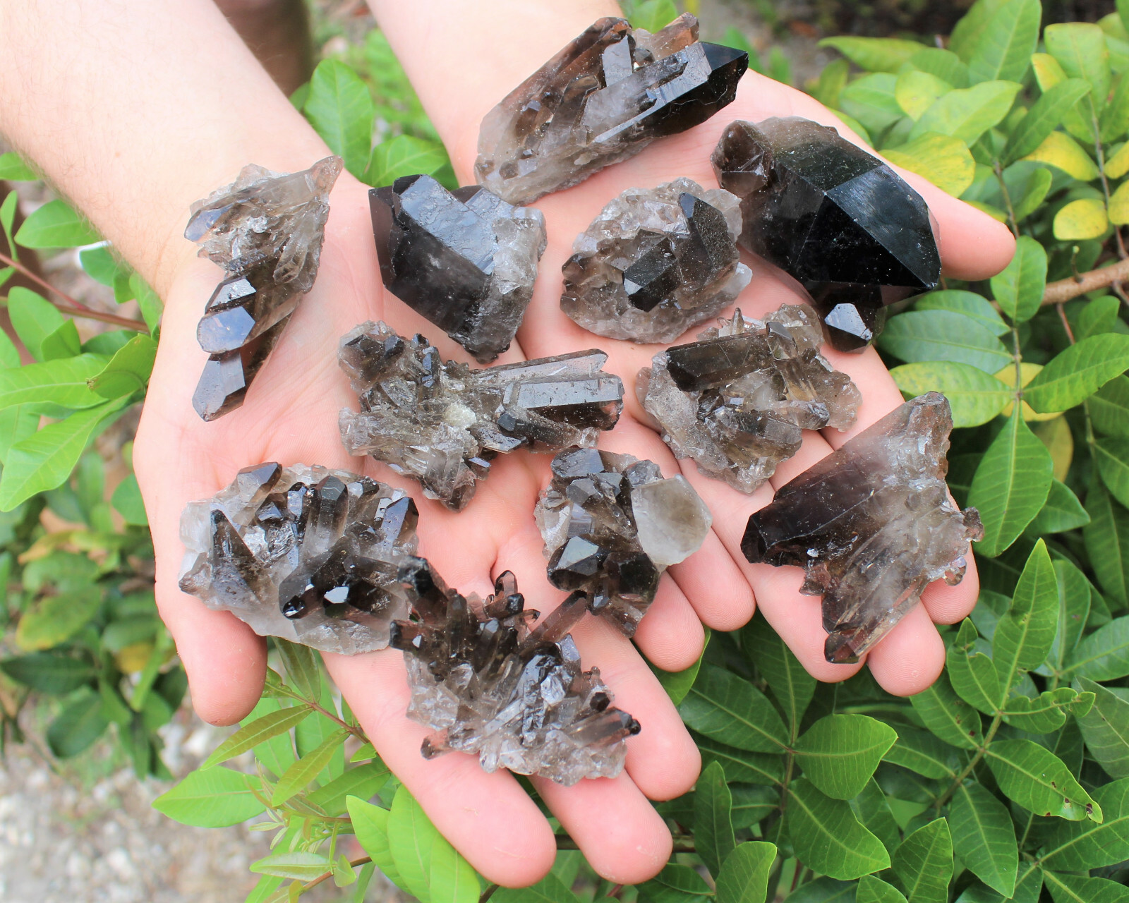 Smoky Quartz Crystal Clusters – Bulk Wholesale ‘A’ Grade High Quality Crystals