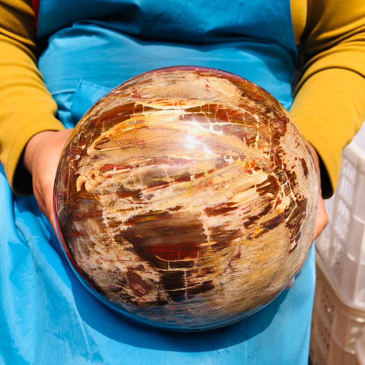 16.1LB Rare Natural Petrified Wood Ball Crystal Quartz Mineral Healing 4708
