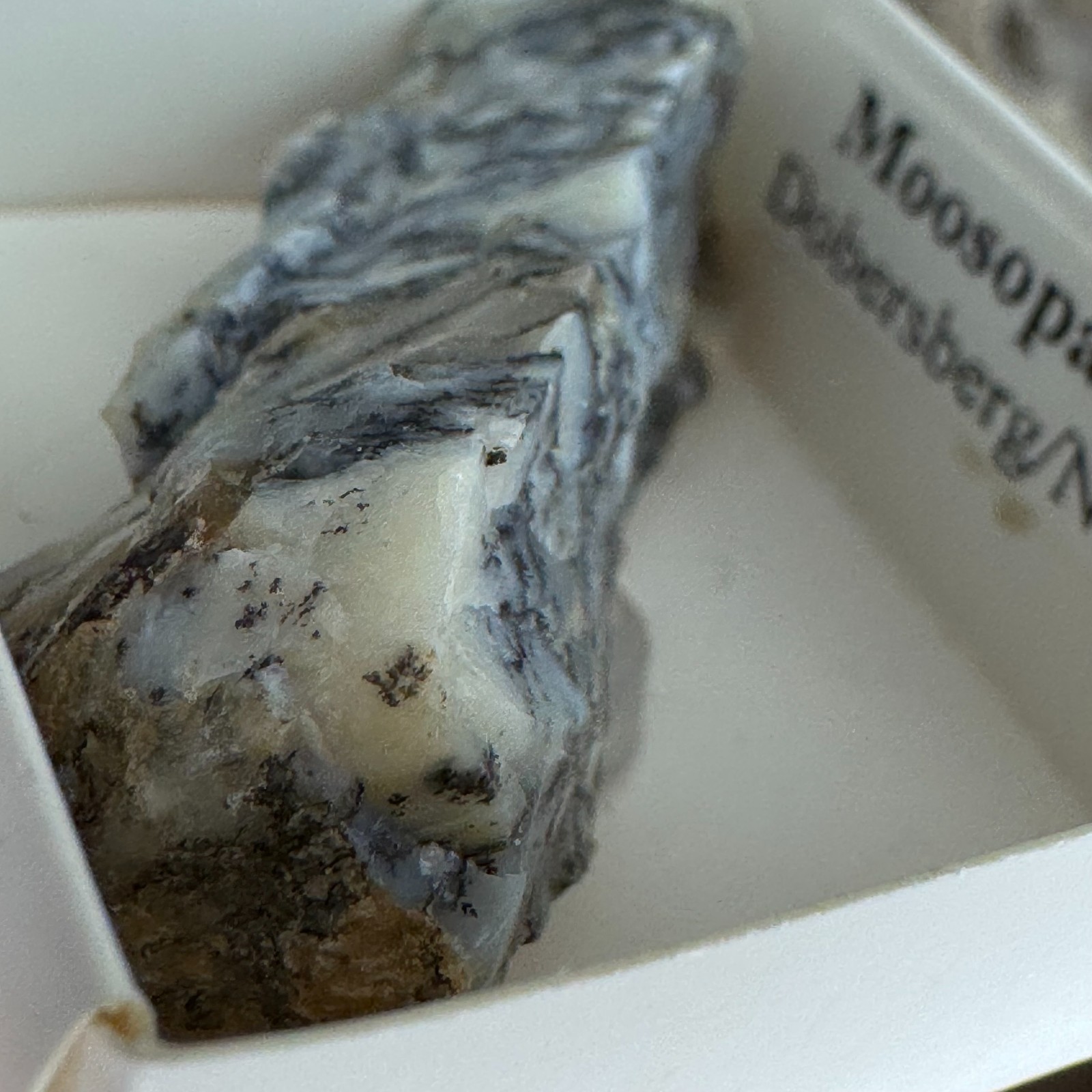 Moosopal Common Opal w/ Dendritic Inclusions Dobersberg NÖ Austria Specimen