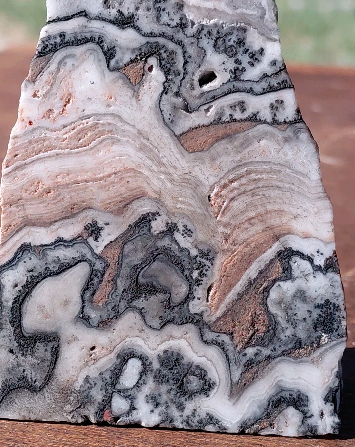 Zebra Calcite Self-Standing “Wedge” Dspl UV Psychedelic Wavey Band 3x 2 1/2″