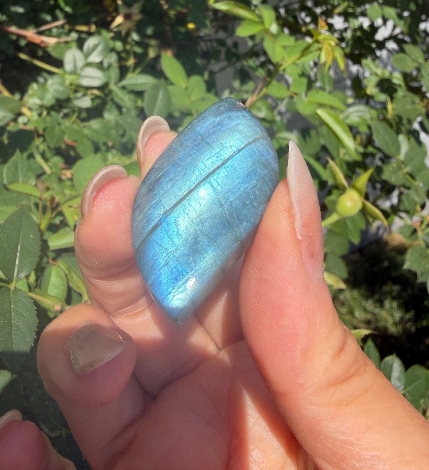 Wholesale Lot 12 Pcs Natural Labradorite Cabochon Crystal Healing Energy