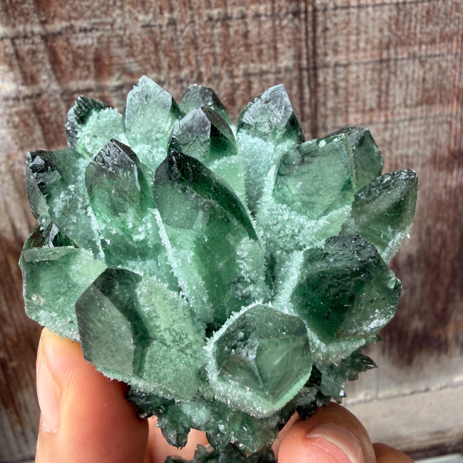 New Find green Phantom Quartz Crystal Cluster Mineral Specimen Healing 200g+ 1pc