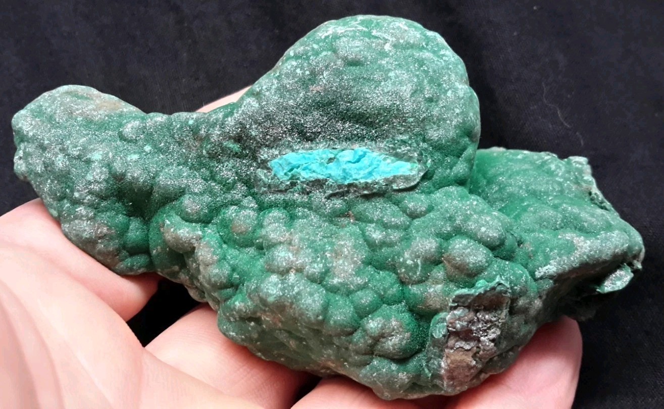 3.75″ MALACHITE with CHRYSOCOLLA from the Democratic Republic of Congo