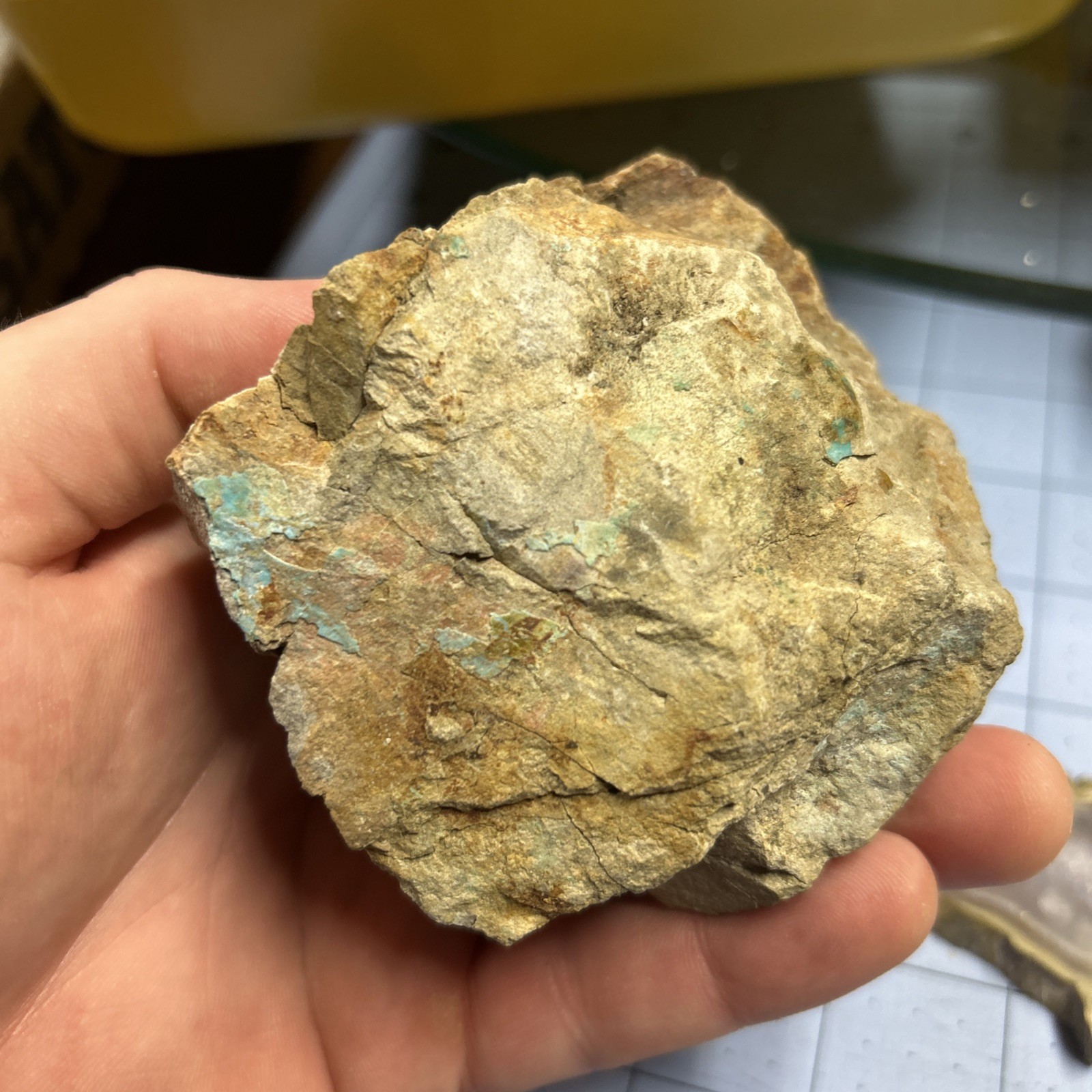 Turquoise sky blue natural old stock Kingman AZ matrix rough specimen