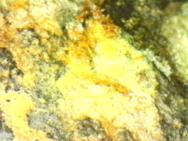 Platinum and Gold Ore Specimen/ Black Hills South Dakota