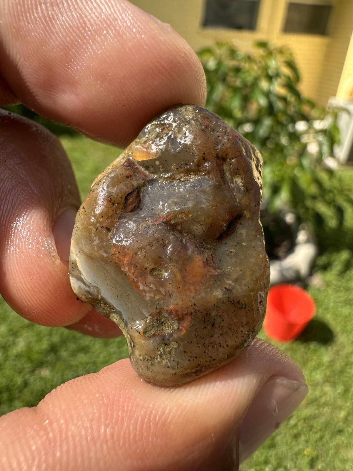 3.65 oz Lake Superior Agate Lapidary Lot 5 Multicolor Beauty’s