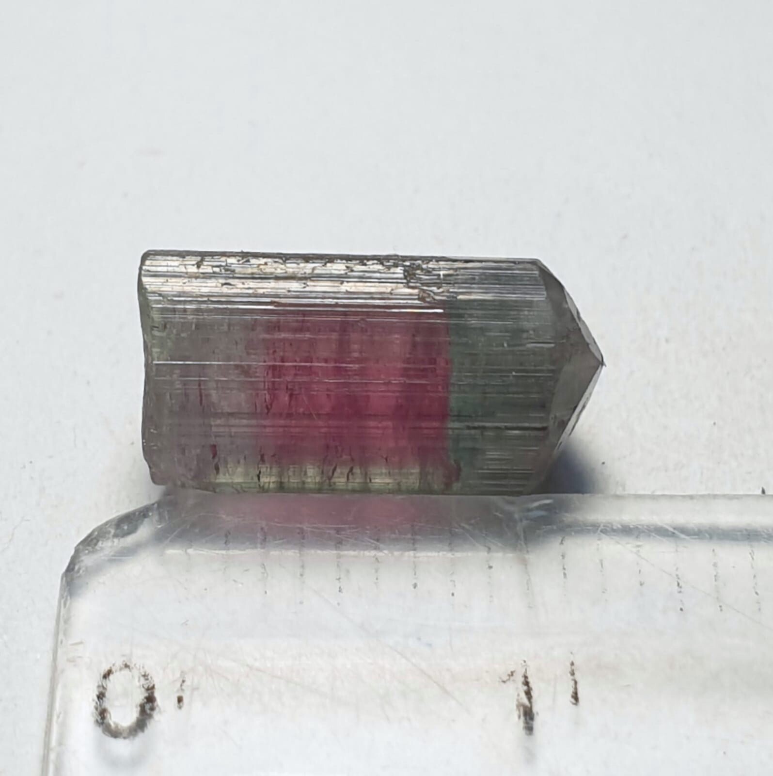 Saturated Bi Color Terminated Tourmaline Crystal From Afganistan 🇦🇫