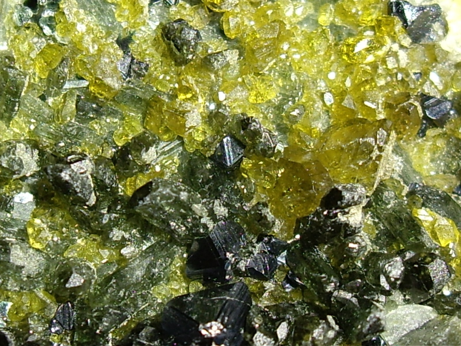 Awesome Magnetite, Vesuvianite, Garnet, and Diopside Crystals on Matrix 23.3g