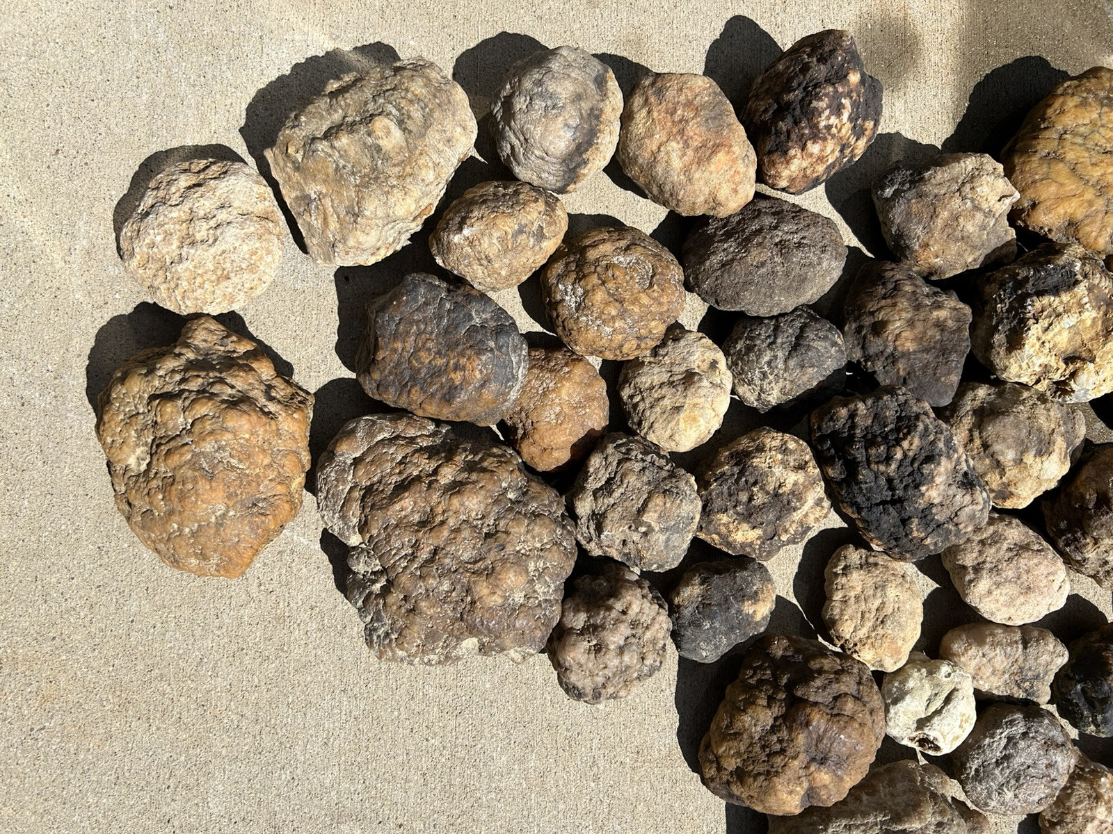 5 lbs Kentucky Natural Geodes Premium Quality Quartz Crystals Sale