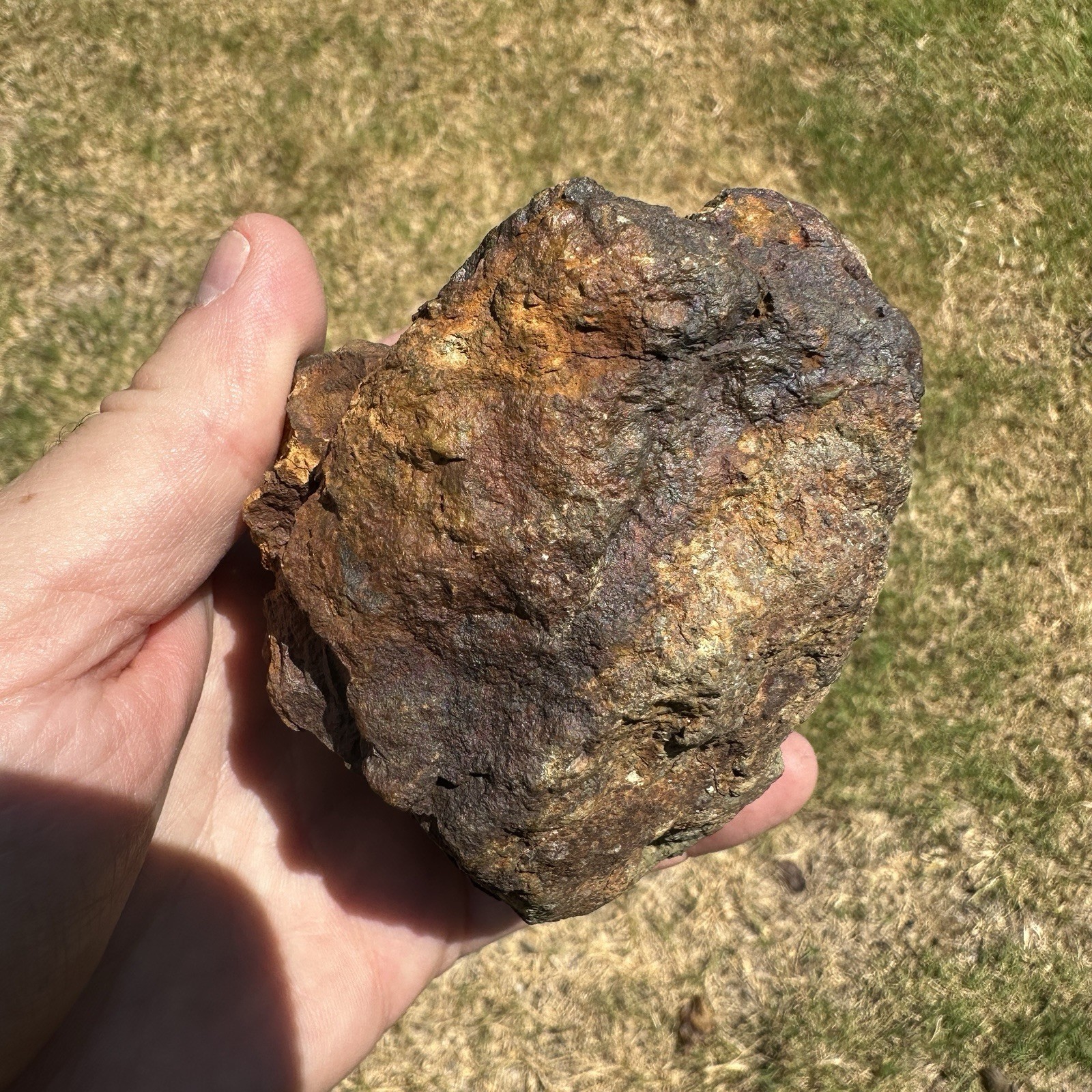 Mt Skukum Pyrite Nodule 3.75 Inch Collector Mineral Rock Specimen Yukon 1076.3g