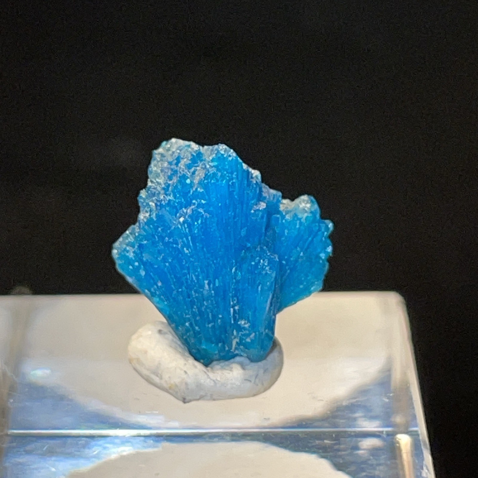 VIVID BLUE MICROMOUNT/THUMBNAIL CAVANSITE CRYSTAL PUNE DISTRICT,INDIA