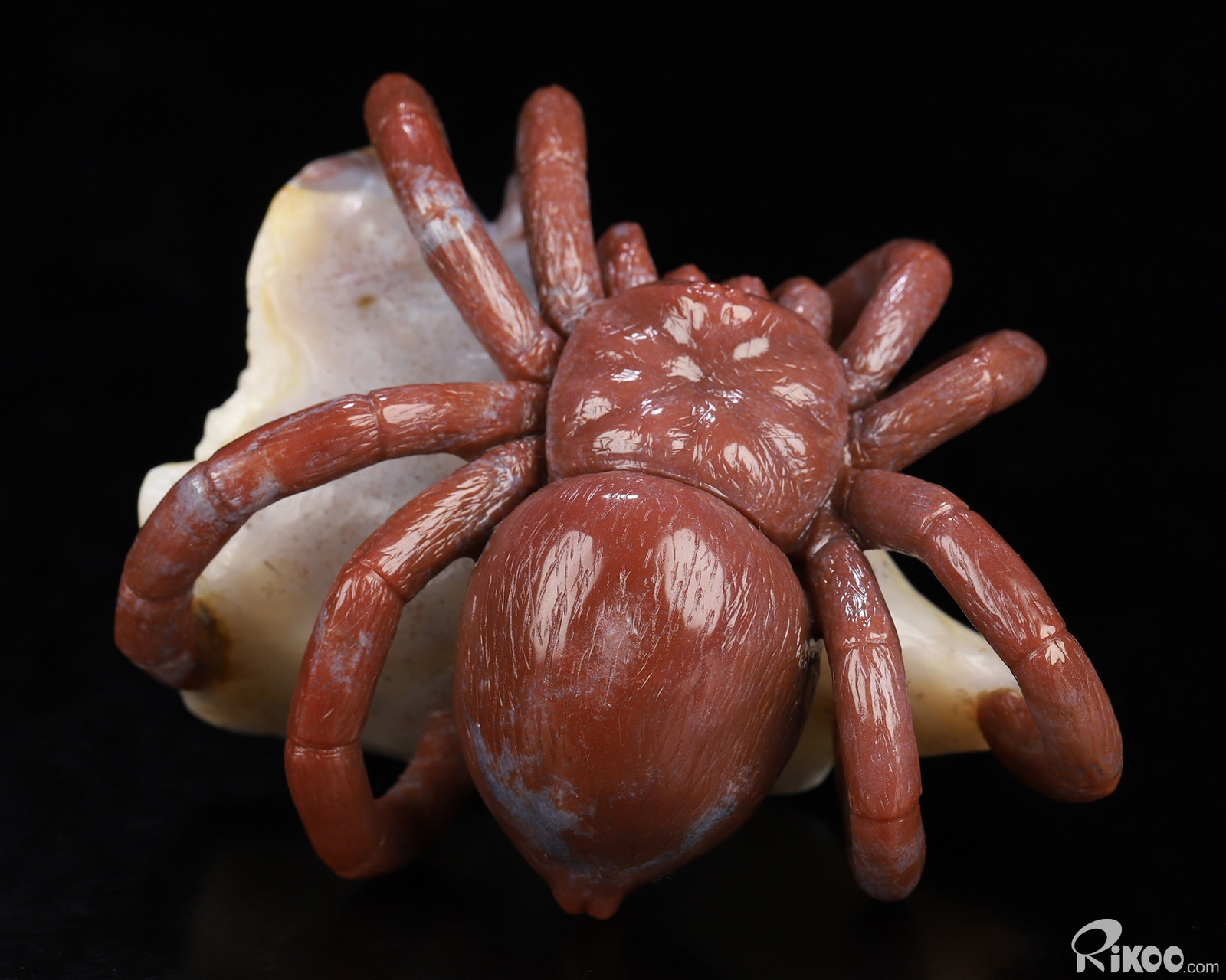 4.1″ Indian Agate Hand Carved Crystal Spider Sculpture, Crystal Healing