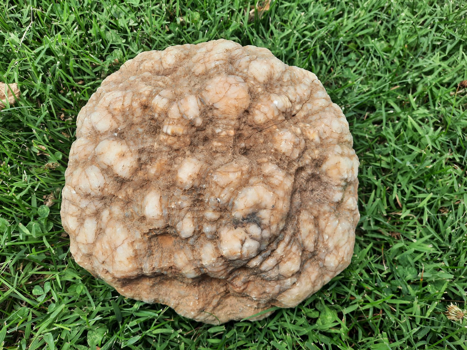 8″ Smokey Quartz Fractured Geode. Southern Kentucky