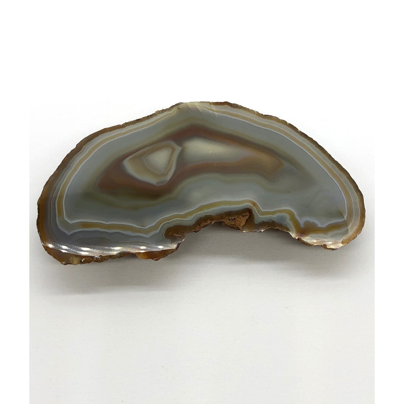 Natural Polished Banded Agate Slice Geode Specimen Brown Gray 5.25 Inch Decor