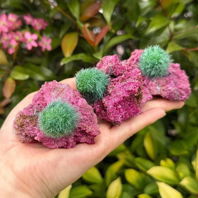 Red Rare Dandelion Zeolite Quartz Crystal Healing Cluster Mineral Specimen Decor