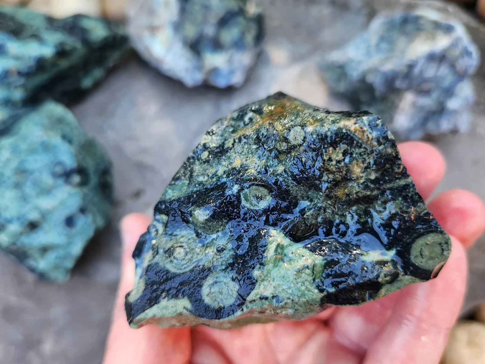 4.5 lbs Kambaba “Crocodile” Jasper – 5 Pieces – Ideal for Lapidary or Tumbling