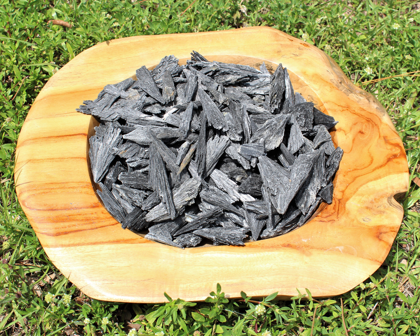 3 LARGE Black Kyanite Blades Premium Quality Chunky Natural Rough Wand 2″ – 3″