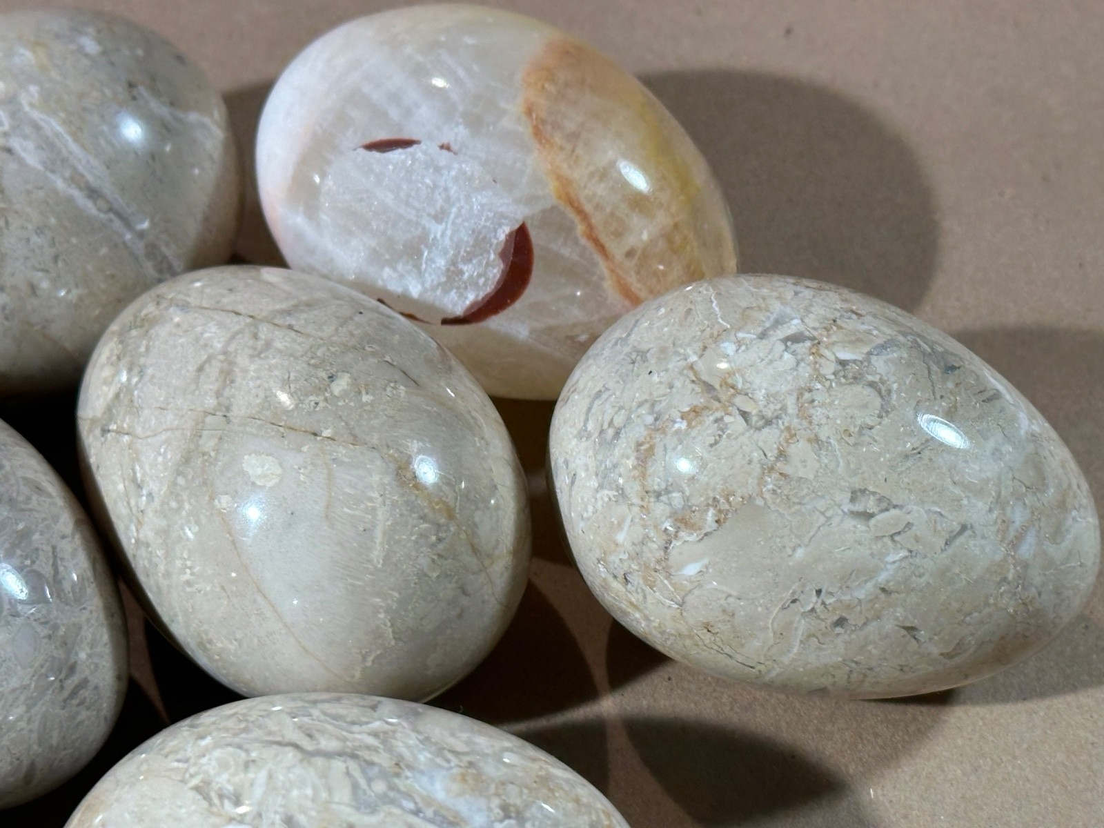 Lot of 10 Fossil Coral / Fossiliferous Limestone Polished Gemstone Eggs 2.75” –