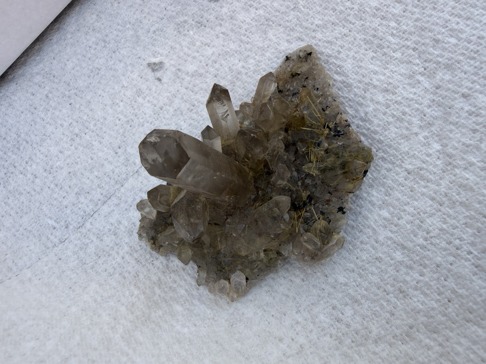 Rutilated Smoky Quartz Crystal Cluster Specimen – Golden Rutile Inclusions