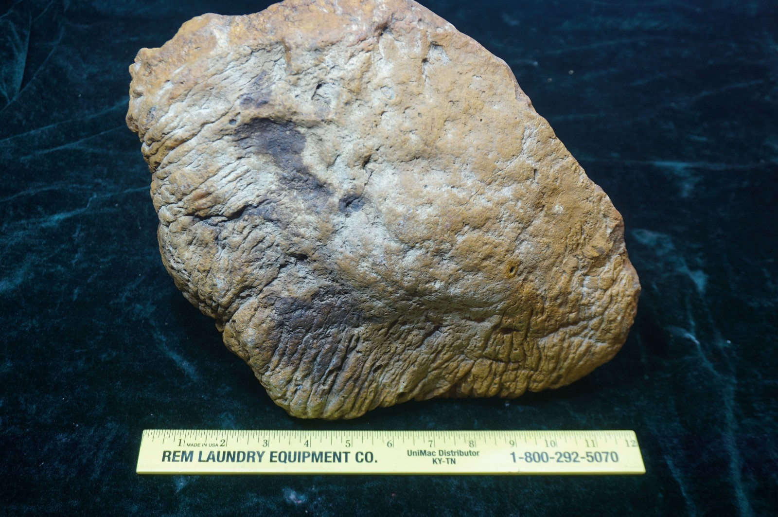 HUGE 30 Lbs. Kentucky Geode